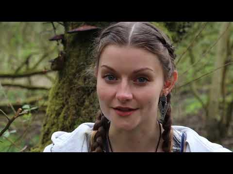 ASMR Affirmations in nature 🌳 for Wellbeing & Peace