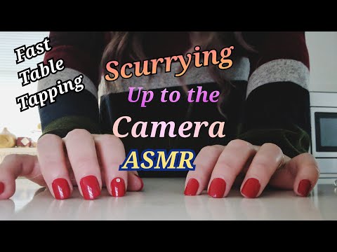 ASMR Fast & Aggressive Table Tapping + Scurrying up to the Camera (Eevy asmr inspired)