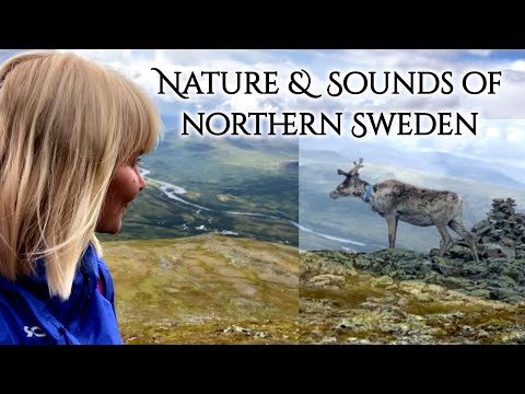 Climbing a Mountain with Reindeers  (ambient nature sounds)