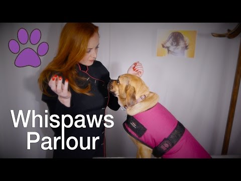 🐾Whispaws Parlour🐾 ASMR Dog Spa & Massage | Fur Brushing & Ear Examination