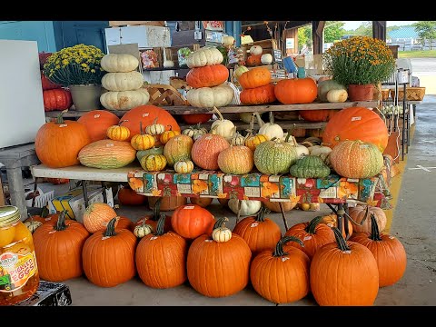 Pumpkins & Flowers & Things at the Farmers Market 9-30-2021