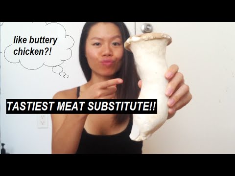 KING MUSHROOM TASTES LIKE BUTTERY CHICKEN! (BEST MEAT SUBSTITUTE)