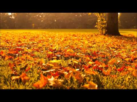 (3D binaural sound) Relaxing autumn leaves & asmr crinkle sounds around your head & nature