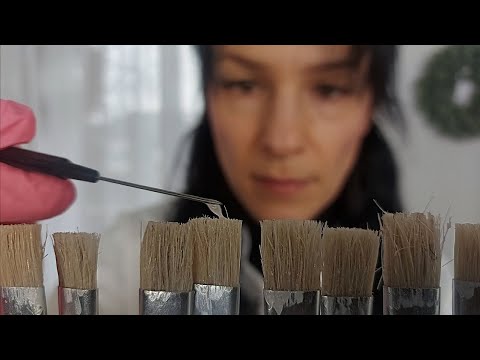 Your teeth are brushes ] ASMR [