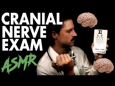 [ASMR] Cranial Nerve Exam 🧠 | Realistic | Soft Spoken