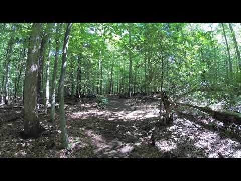 ASMR Hiking Binaural Dirt Trail Through a Vibrant Wooded Area