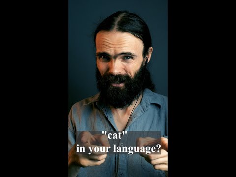 Can you teach me how to say CAT in your language? #shorts ASMR
