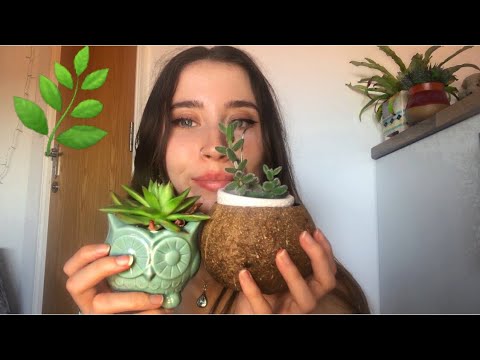 ASMR Tingly Tapping On My Plants With Whispers 🌱 🌿