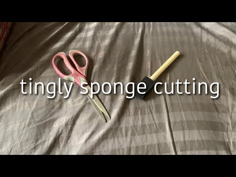 ASMR cutting a sponge