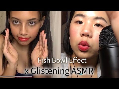 ASMR | Fish Bowl Effect Collab (ft. Glistening ASMR)