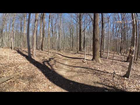 ASMR Hiking [Binaural] Beautiful Winter Day Hike with Peaceful Walking Sounds (Full Video)