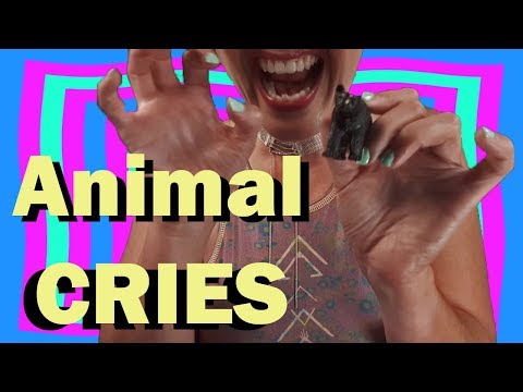 ASMR: Animal Cries!!!!!