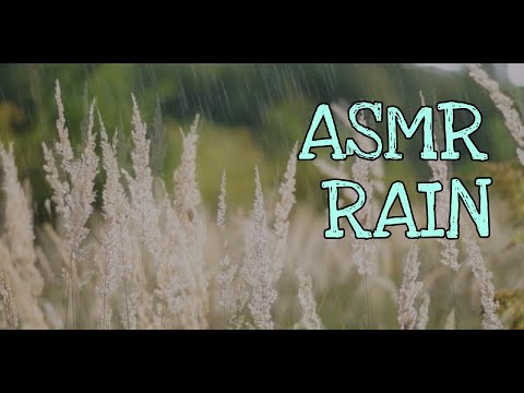 ASMR Расслабляющий Фон Для Сна / Звуки Дождя / Гроза / Гром / ASMR / Rain / Storm / Thunder / Relax