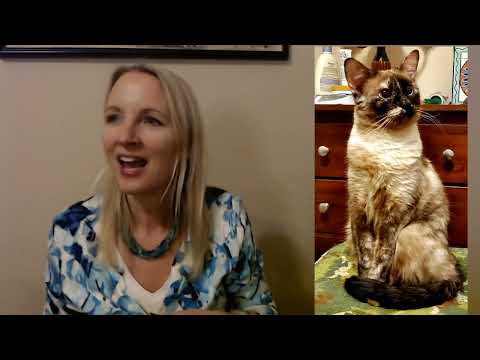 ASMR | Cat Lady Subscription Box Show & Tell 2-25-2022 (Soft Spoken)