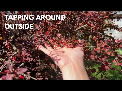 ASMR 🍂 Tapping around outside! Enjoy the outdoor sounds & tingles 😴 No talking