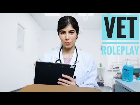 👩‍⚕️Vet takes care of your dog 🐕 ASMR (inspired by @Life with MaK)