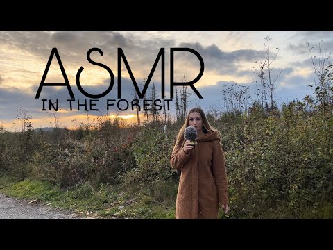 ASMR in the forest🌿