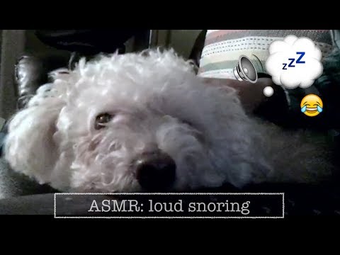 ASMR LOUD INTENSE snoring sounds