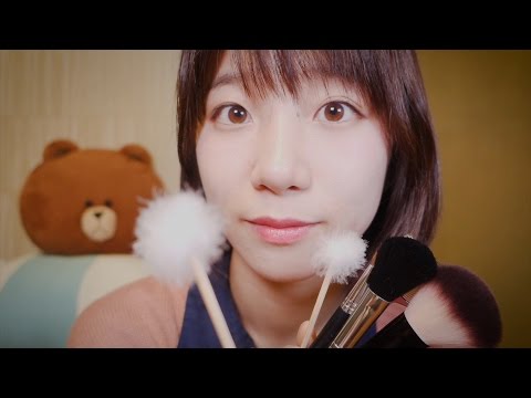 ASMR Brushing Your  Ears with Different Brushes and Tools