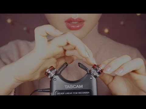 [ASMR] Heavenly Delicate Tapping on Tascam l 초 섬세한 타스캠 탭핑 l 極度に繊細にマイクをたたく