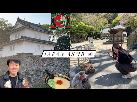 ASMR Vlog in Japan 🇯🇵🐒🫶🏼🫧 soft spoken ~