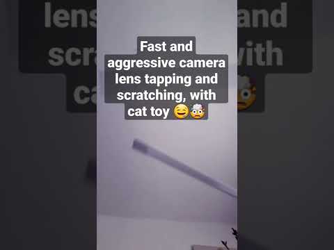 ASMR fast and aggressive camera lens tapping and scratching with cat toy 🤤🤯 #shorts