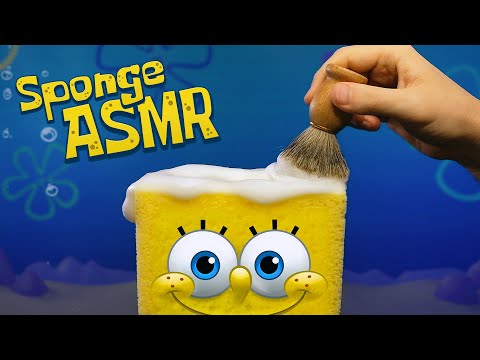 SPONGE ASMR from Bikini Bottom