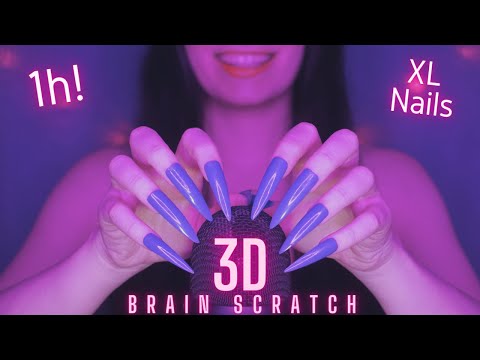 Asmr Mic Scratching - Brain Scratching | Brain Melting Asmr No Talking for Sleep with Long Nails 1H