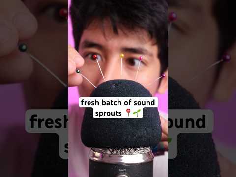 fresh batch of sound sprouts 🌱📍 #asmr