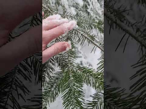 ASMR - Snowy Winter Tingles - Snow Crunch, Mouth Sounds, Whispers, #shorts