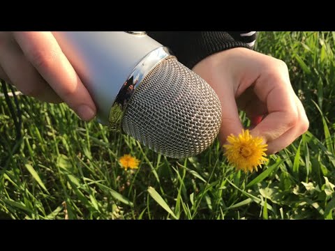 Asmr 100 triggers in one minute in village 🏡🌳💐