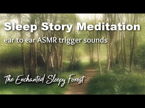 Dreamy Sleep Story Meditation with Ear to Ear ASMR Trigger Sounds & Soothing Female Voice for Sleep