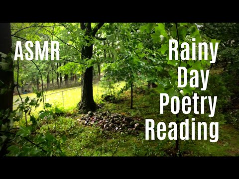 ASMR Reading Poetry During Tropical Storm Isaias ⛈️ (Rain, Wind, Rustling Trees Sounds)