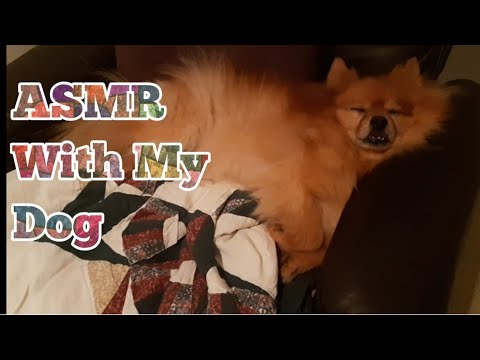 ASMR With My Dog (Lo-fi)No Talking