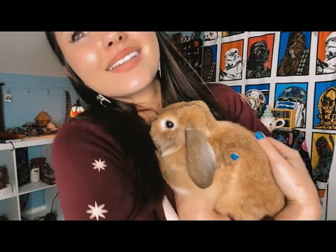 Animal Experiences Throughout My Life 🐇 STORY TIME 🦮