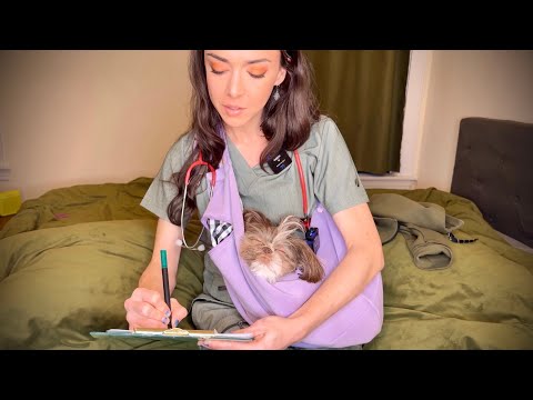 ASMR Dog | Full Body Medical Exam | Petting, Brushing Fur, Tummy Rubs | Soft Spoken Pet Role Play