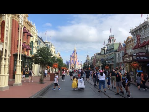 ASMR Explore Magic Kingdom With Me ✨ (Whispered Voiceover)