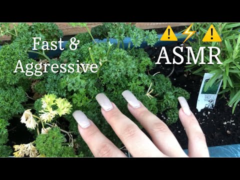 Fast & Aggressive Tapping & Scratching In A Pattern Outside ASMR No Talking // Sarah’s Custom Video