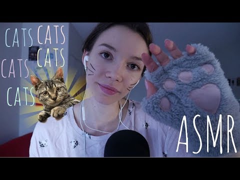 ASMR pour les fans de chat (multi-déclencheurs)