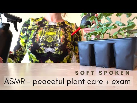 ASMR - Quietly Caring for Plants, Exam, Soft Spoken