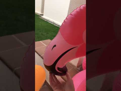 I tried ASMR on vacation - Tapping - Flamingo - Holiday