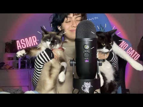 Gatos e lambidas👅(se você tem rinite cuidado vídeo felpudo :3) [ASMR] 🐈‍⬛🐈