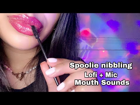 ASMR~ Tingly Spoolie Nibbling (Lofi & Mic) Mouth Sounds + Hand movements