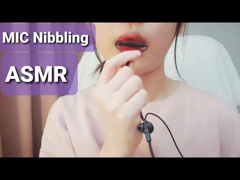 [ASMR👄]MIC Nibbling | Mic Licking+ Mouth Sounds/중독성 있는 마이크니블링 입소리리/zhōngdúxìng de màikèníbùer kǒuyīn