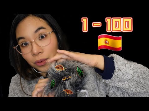 ASMR SEARCHING FOR BUGS IN SPANISH (Counting 1-100) 🐞🐛 BUSCANDO BICHOS Y CONTANDO HASTA 100