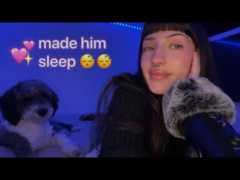 Giving my dog asmr ♡ french trigger words + scratching