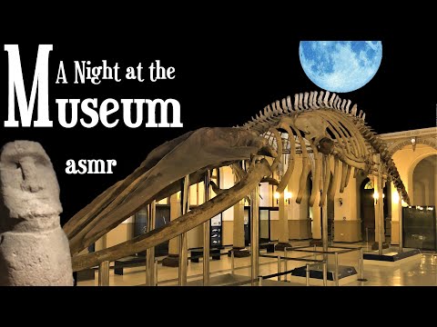 A Night at the Museum: ASMR for sleep (Paleontology, Archaeology, Zoology, Anthropology, Chile...)