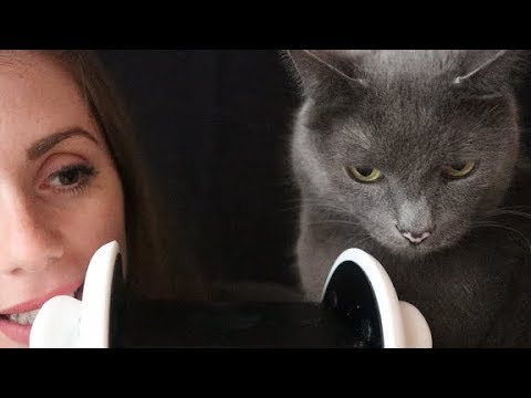 I tried to do an ASMR Video and THIS HAPPENED!