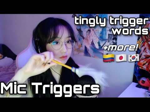 ASMR | mic scratching, mouth sounds, trigger words ~ ULTIMATE TINGLY ASSORTMENT 🤤w/ new setup!