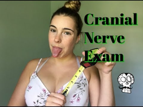 |ASMR|Cranial Nerve Examination Roleplay| Face Measuring & Visual Triggers |